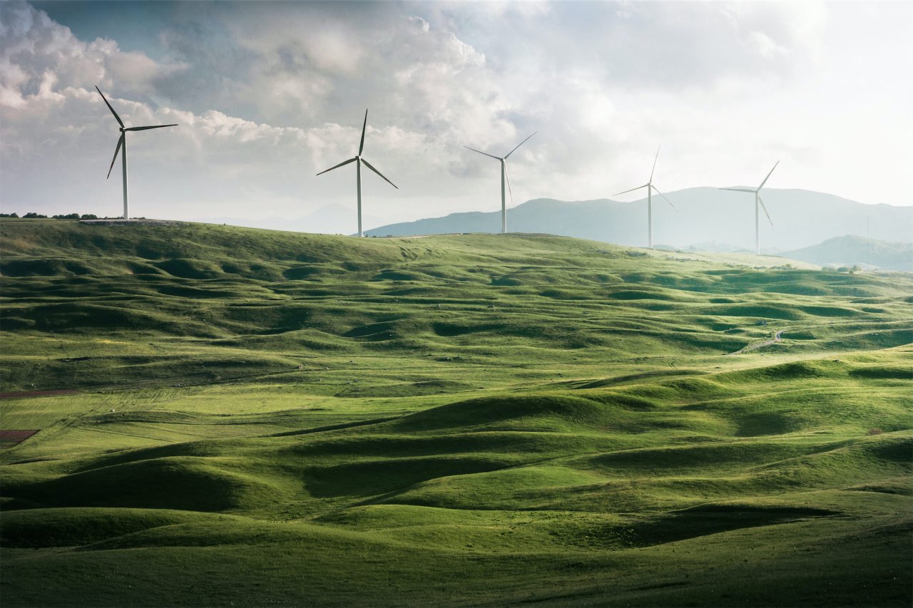 Wind turbines surrounded by grass landscape. Credit: Appolinary Kalashnikova.